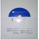 微软(Microsoft) windows server 2...